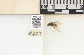 Media type: image;   Entomology 774091 Aspect: Labels